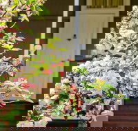 Apple Blossom Cottage - Accommodation Guide