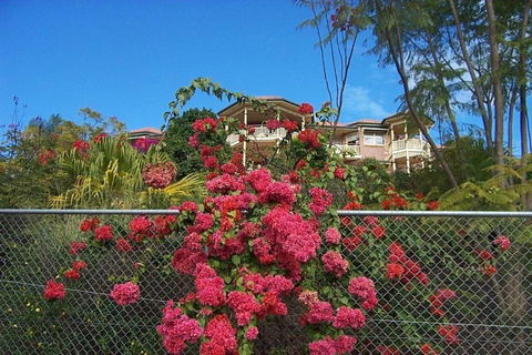 Tranquill Garden Hideaway - Accommodation Guide 6