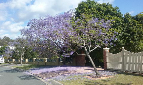 Tranquill Garden Hideaway - Accommodation Guide 2