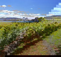 Riversdale Estate Cottages - Accommodation Guide