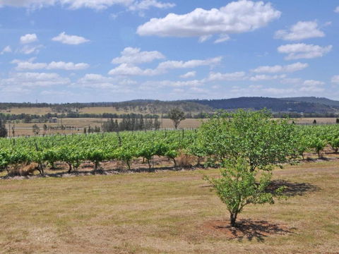 Beggars Bridge Vineyard Homestead W / Pool + Wifi + Tennis + Vineyard - Accommodation Asia 2