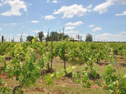 Beggars Bridge Vineyard Homestead W / Pool + Wifi + Tennis + Vineyard - Accommodation Asia 1
