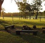 Wallaby Cottage cute Accom in bushland setting - Accommodation Asia