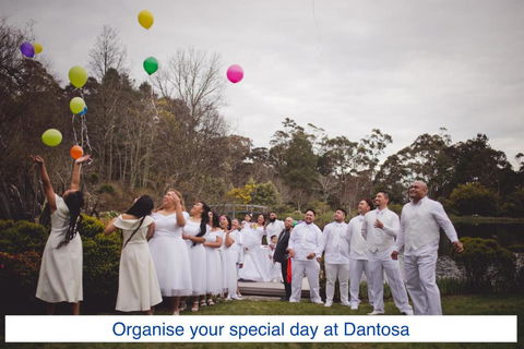 Dantosa Blue Mountains Retreat - Accommodation Asia 5
