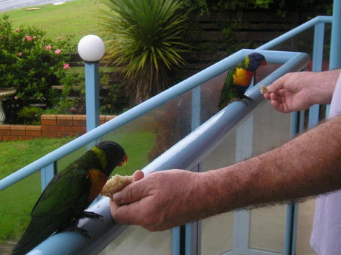 Narooma Golfers Lodge - Accommodation Guide 3