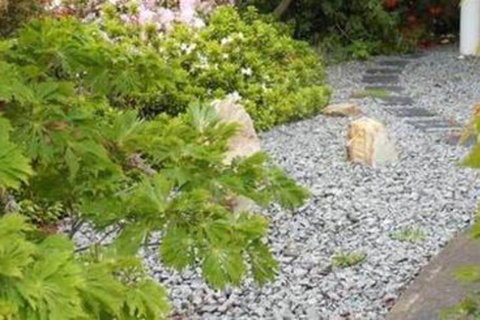 Glenlusk Gardens - Accommodation China 3