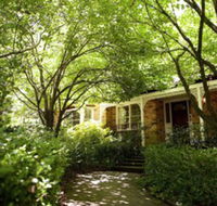 Leura Camellias