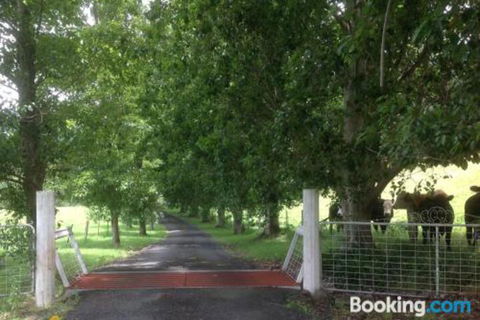 Whispers At Cedar Grove - Accommodation Guide 7