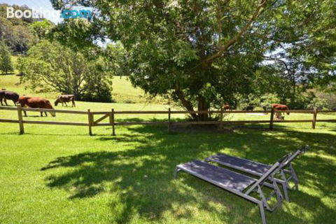 Whispers At Cedar Grove - Accommodation Guide 5