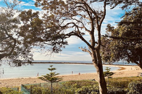 Kims Beachside Retreat - Accommodation Asia 1