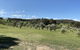 Hunter Homestead - thumb 0