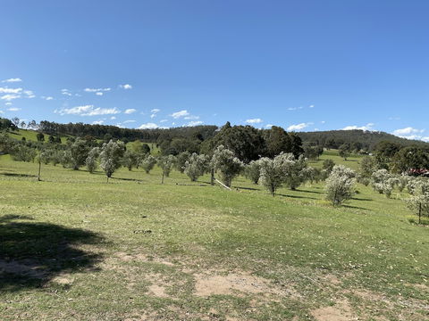 Hunter Homestead - Accommodation Asia 0