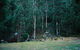 Base Camp Tasmania - thumb 7