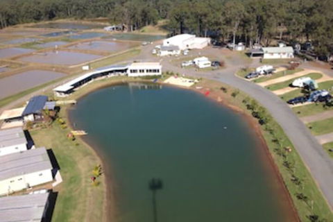 Australian Motor Homes Tourist Park - Accommodation Guide 2