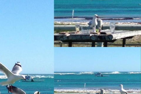 Lous Place - Accommodation Guide 6