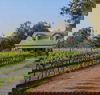 Emmas Cottage Vineyard