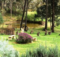 Countryside Connections Tranquil Studio - Accommodation Asia