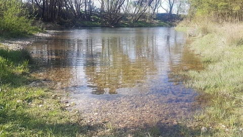 Abington Farm - Accommodation Guide 2