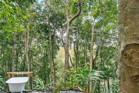 Wanggulay Treetops Cairns City - Accommodation China 7