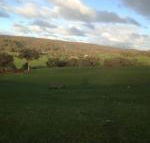 Mancuso Country Cottage Retreat - Accommodation Asia