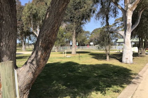 Swan Reach Holiday Park - Accommodation Guide 0