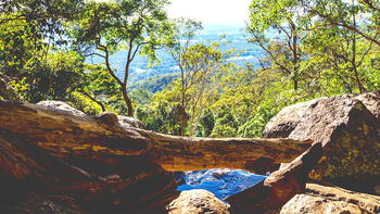 Tourism Listing Partner Accommodation Mount Tamborine