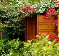 Pink Flamingo - Accommodation China