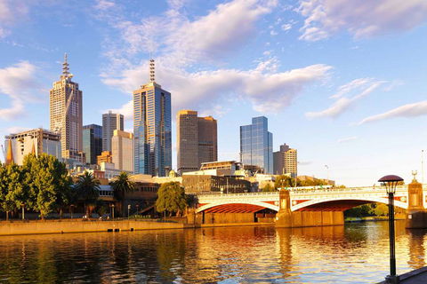 Wyndham Hotel Melbourne - Accommodation Guide 1