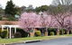 White Lanterns Motel - thumb 0