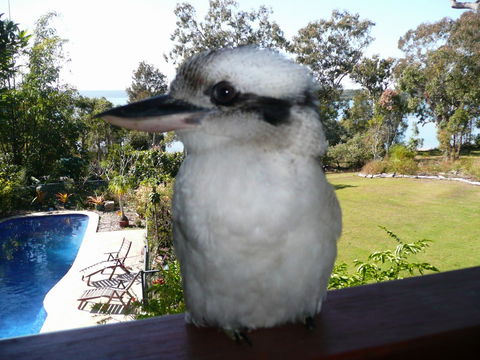 Yarrandabbi Dreaming Boutique B&B - Accommodation Guide 2