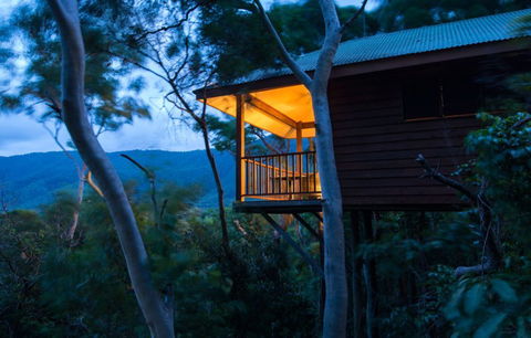 Thala Beach Nature Reserve - Accommodation Guide 0