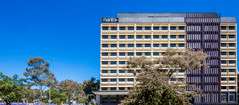 Mantra MacArthur Hotel - Accommodation Guide 0
