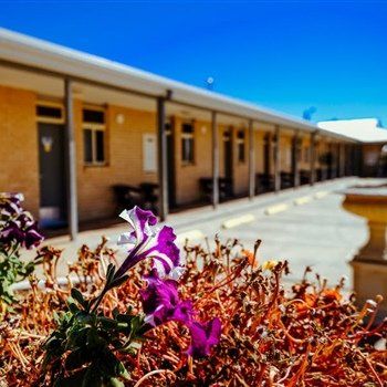 MAS Country Club Motor Inn - Accommodation Asia 1