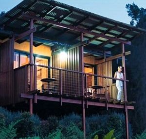O'Reilly's Rainforest Guesthouse - Accommodation Asia 1