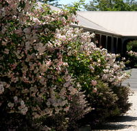 Wine Village Motor Inn - Accommodation Asia