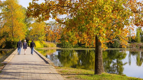 Crowne Plaza Canberra - Accommodation Asia 17