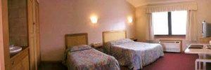 Golden Chain Ascot Motor Inn - Accommodation Asia 4