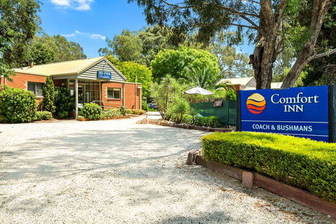 Comfort Inn Coach & Bushmans - Accommodation Asia 0