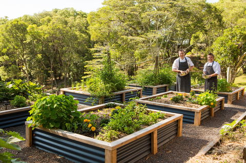 Spicers Tamarind  Retreat - Accommodation Asia 1