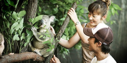 Pullman Reef Hotel Casino - Accommodation Asia 14