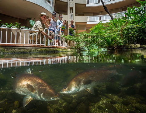 DoubleTree By Hilton Cairns - Accommodation Asia 4