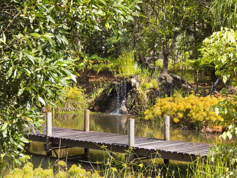 Cedar Park Rainforest Resort - Accommodation Asia 0