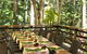 Cedar Park Rainforest Resort - thumb 3
