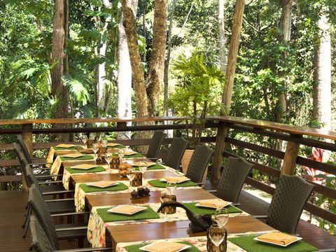 Cedar Park Rainforest Resort - Accommodation Asia 3