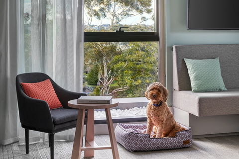 Element Melbourne Richmond - Accommodation Guide 2