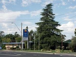 Forbes NSW Accommodation Asia