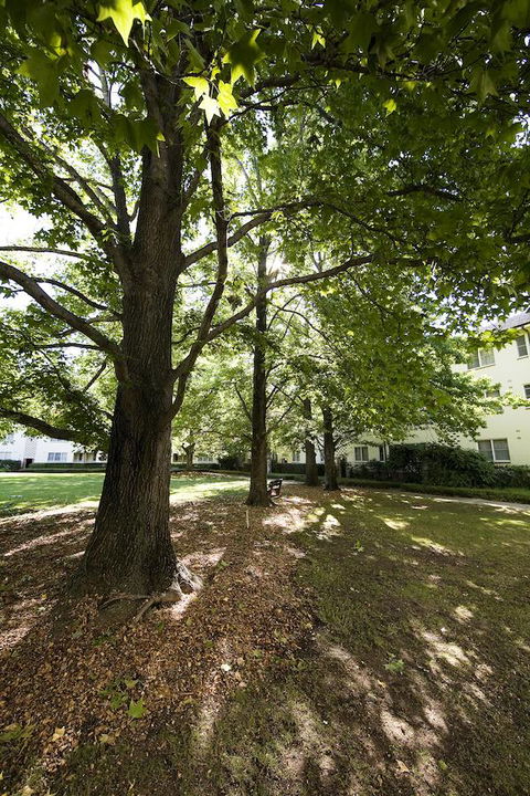 University House - ANU - Accommodation Asia 28