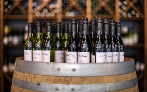 Quality Hotel Dickson - Accommodation Guide 19