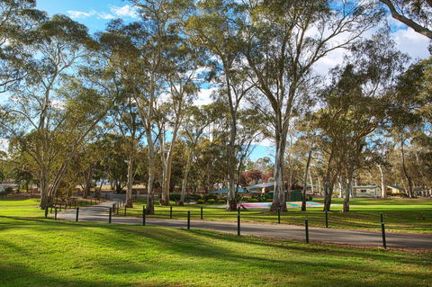Discovery Parks - Clare - Accommodation Asia 19