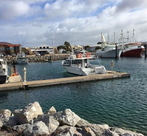 Port Lincoln Shark Apartment 1 - Accommodation Asia 14